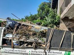 Best Property Management Cleanouts  in Glenville, CT